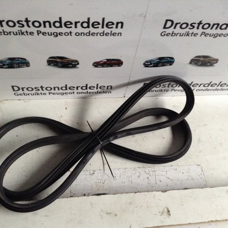 Deurrubber Rechts-Achter 9025J5 Peugeot 308