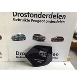 Nebelscheinwerferhaube links 9825954480 Peugeot 2008 II P24E Farbe Schwarz EKL