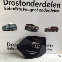 Mistlamp Kap Links 9825954480 Peugeot 2008 II P24E Kleur Zwart EKL