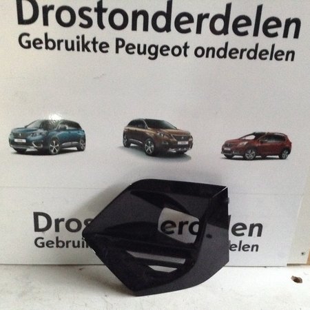 Nebelscheinwerferhaube links 9825954480 Peugeot 2008 II P24E Farbe Schwarz EKL