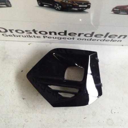 Nebelscheinwerferhaube links 9825954480 Peugeot 2008 II P24E Farbe Schwarz EKL