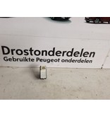 Raamschakelaar Rechts-Voor 98044803ZD Peugeot 2008 II P24E