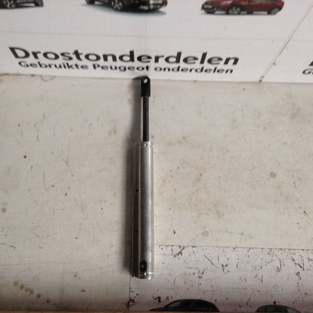 Dak Cilinder Links Peugeot 308CC (8446J8)