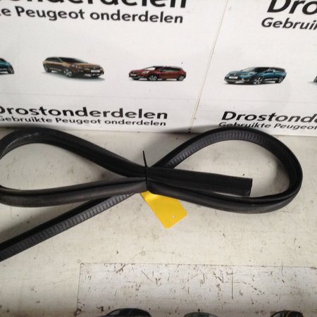 Rechte Türdichtung Peugeot 308CC (9025K5)