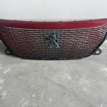 Grill in der vorderen Stoßstange 9826326680 Peugeot 2008 II 982595261T