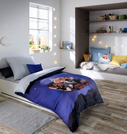 Fleuresse Bettwäsche Fleuresse Unser Sandmänchen Satin 114625-2