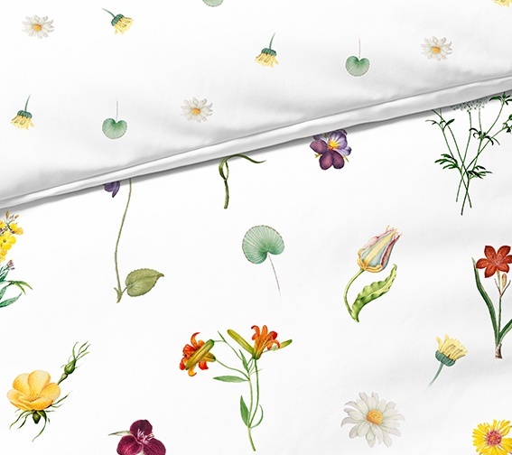 fleuresse – Hochwertige Bettwäsche Fleuresse BED ARTS F/S 2026 - Mako- Satin Blumen 115051