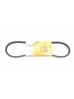 Belt high pressure pump 66- 10 x 800