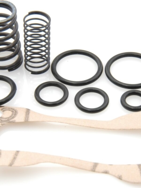 Juego reparacion corrector carbu