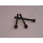 Outlet cylinder head screw (M10 x 114,5)