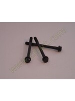 Outlet cylinder head screw (M10 x 114,5)