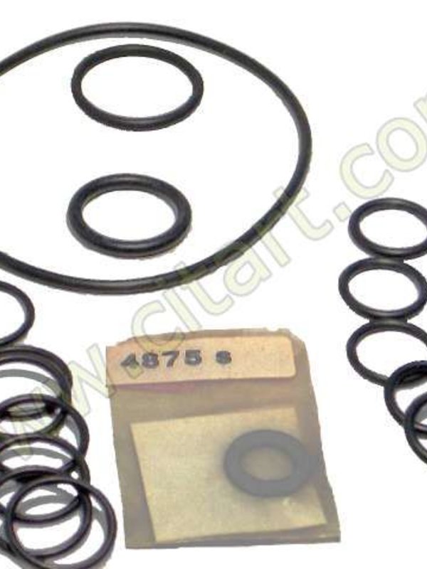 Kit reparacion bomba presión alta 7 pistones - 18 piezas