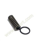 Seal + spring piston 22 x 3mm