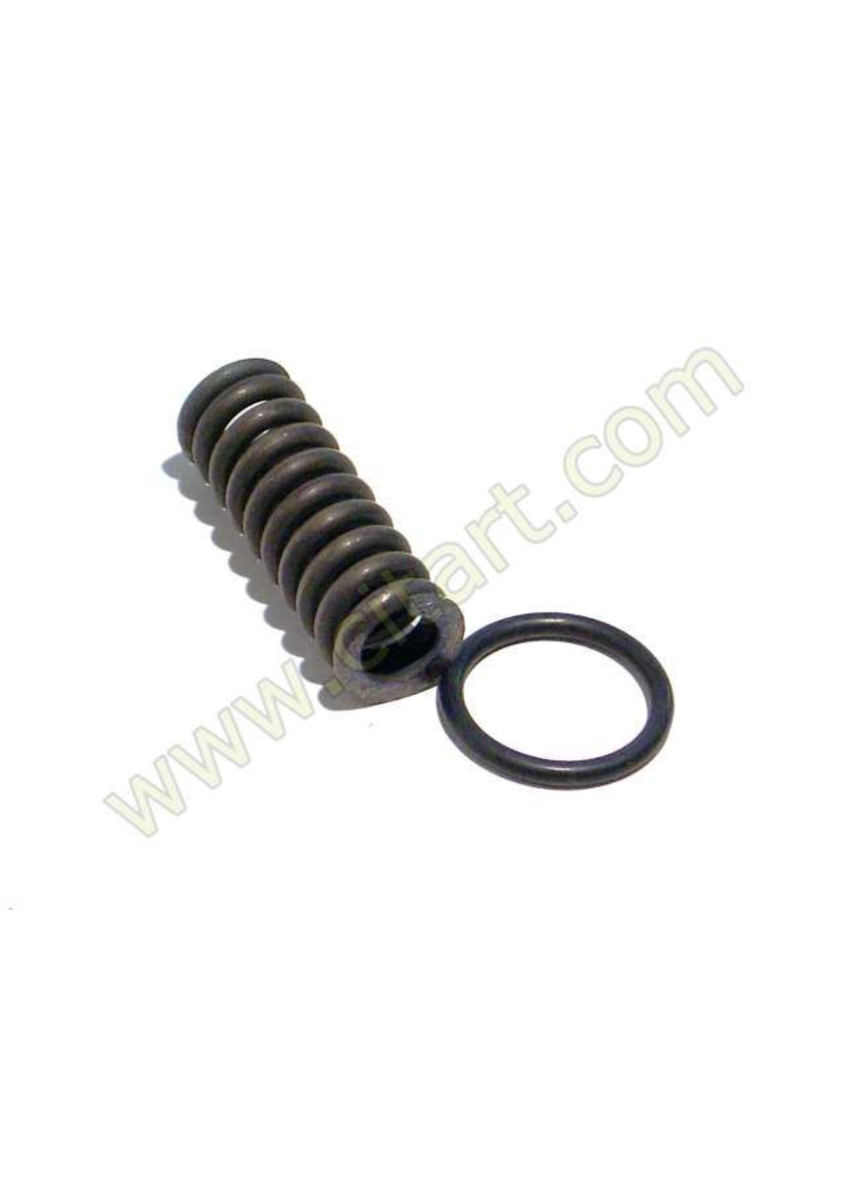 Seal + spring piston 22 x 3mm