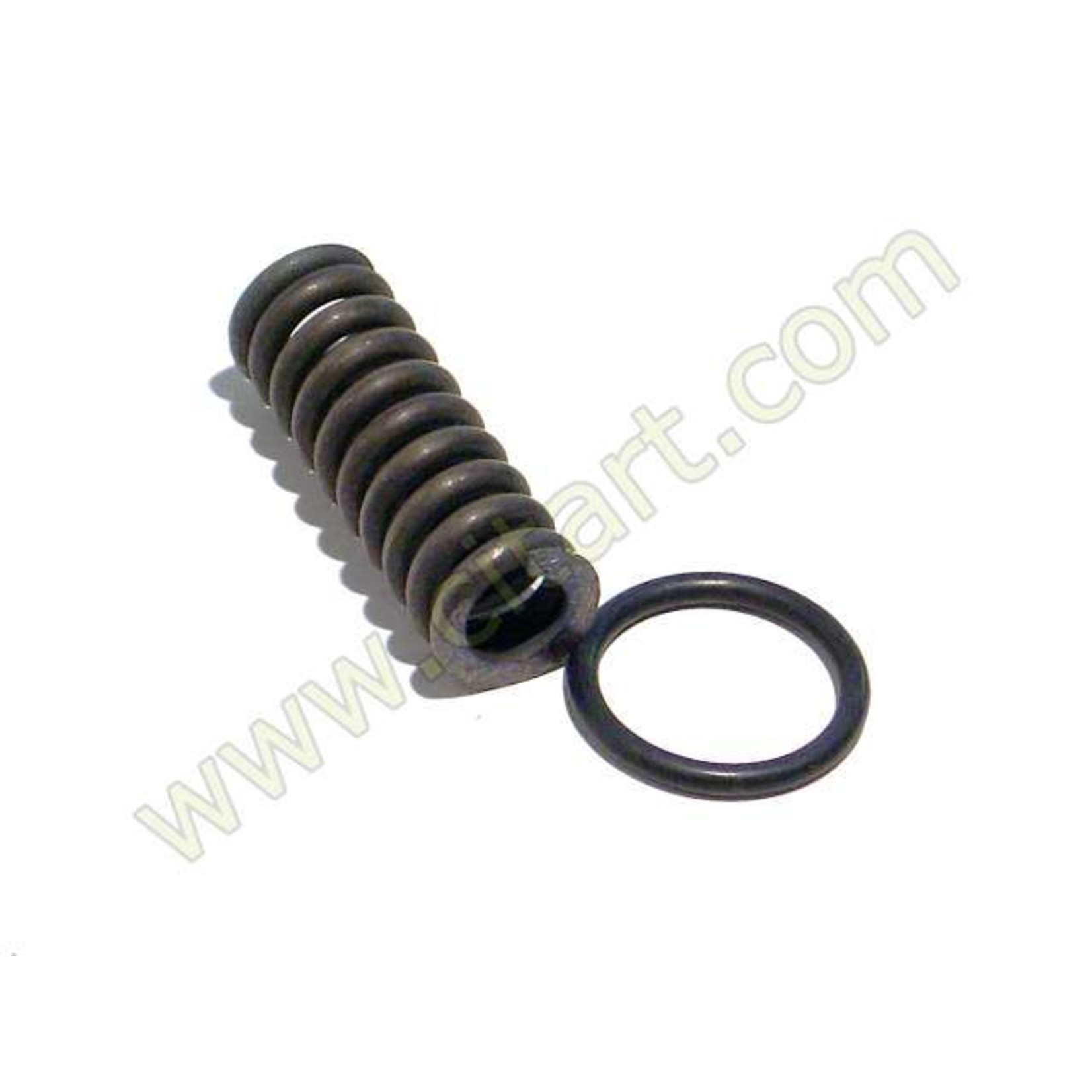 Seal + spring piston 22 x 3mm