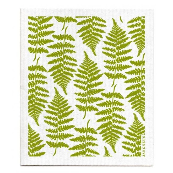 Dishcloth Fern