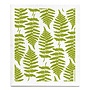 Dishcloth fern