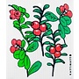 Dishcloth Lingonberries