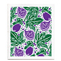 Biologische Vaatdoek Figs