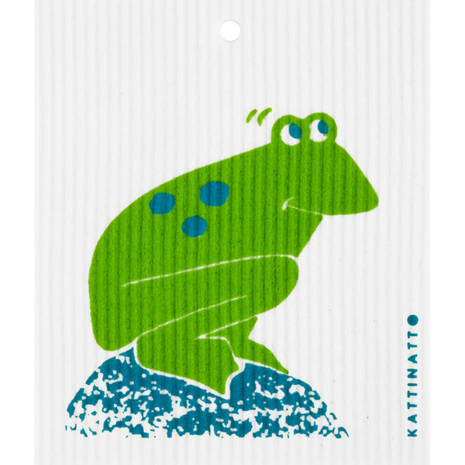 Dishcloth Frog on rock
