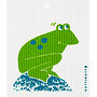 Dishcloth Frog on rock