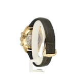 Omega Speedmaster Moonwatch Professional 42 yellow gold green 2025 box + papers