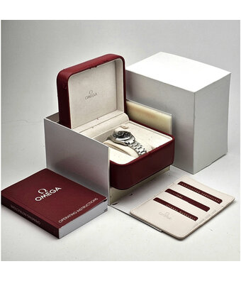 Omega Seamaster Railmaster  2008 box + papers | steel black