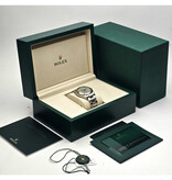 Rolex Oyster Perpetual 36 2025 box + papers | pistachio steel Oyster