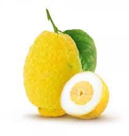 Cedro