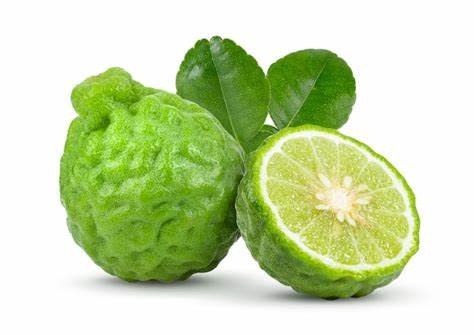 Bergamot
