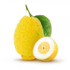 Cedro