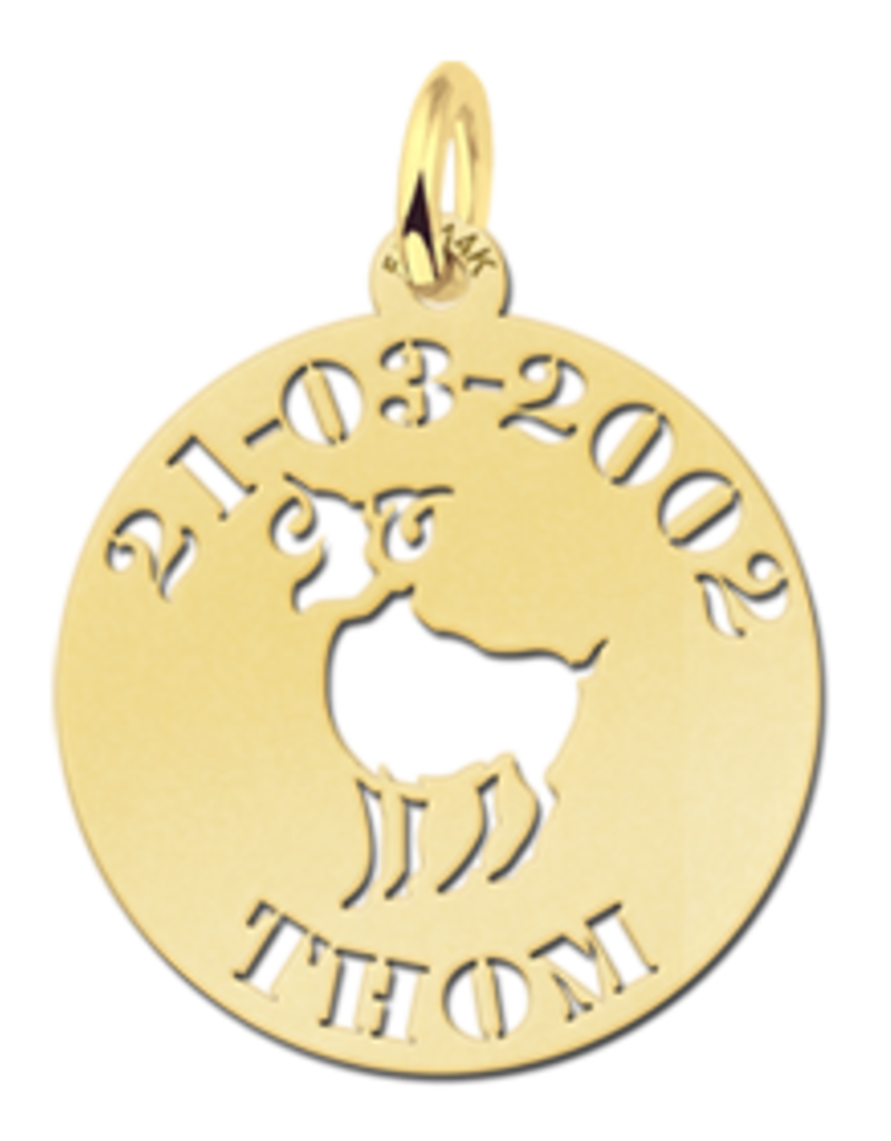 14 karaats - Gouden naam sterrenbeeld rond