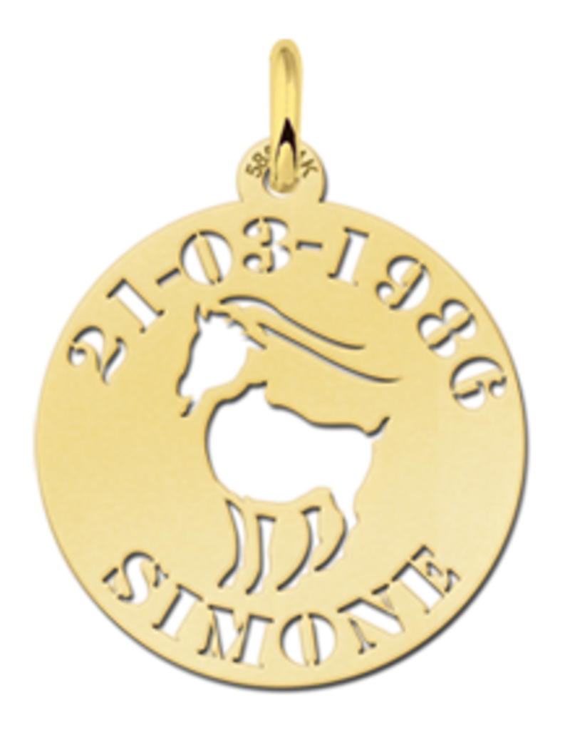 14 karaats - Gouden naam sterrenbeeld rond