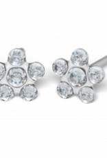 Studex Studex schietknopjes - Daisy Zirkonia Kristal - 7512-6004 (154)
