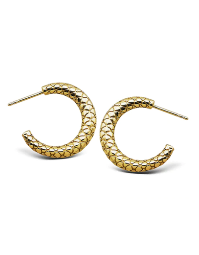 Jwls4u Jwls4u - Earrings - Snake Goldplated - JE027G