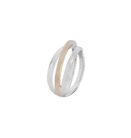 Zilveren /  Verguld zilver - Ring - Mat/glanzend - Maat 18