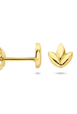 Verguld zilver - Oorknoppen - Blad