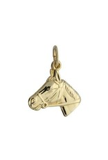 Gouden hanger - 14 karaats - Paardenhoofd