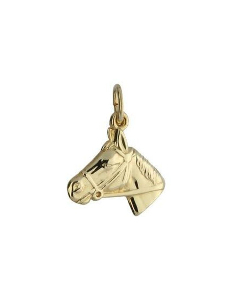 Gouden hanger - 14 karaats - Paardenhoofd