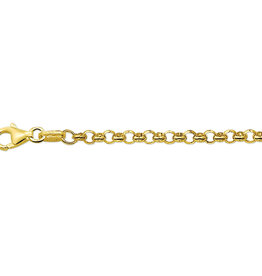 Gouden armband - 14 karaats  - Jasseron - 3.3 mm - 19 cm