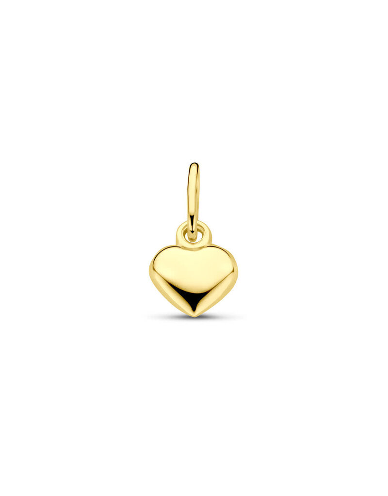Gouden bedel -  14 karaats - Hartje - 5.5 mm
