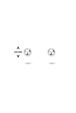 Zilveren oorknoppen - Gerhodineerd - Bol - 2.5 mm