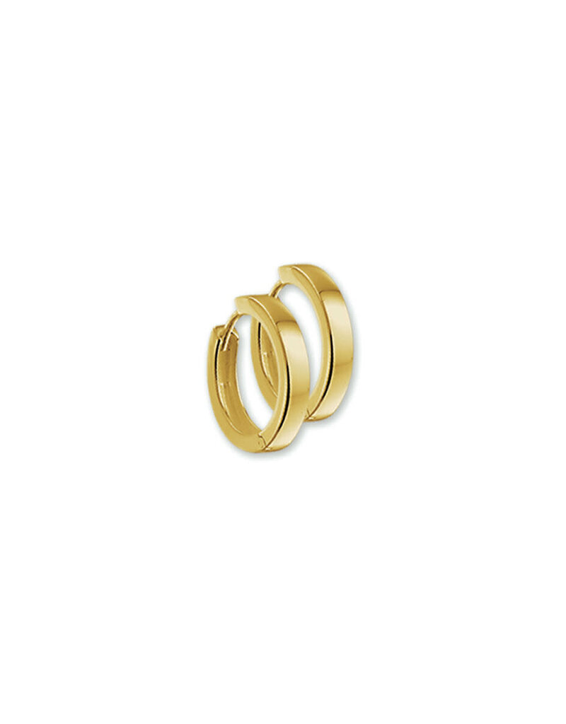 Gouden oorringen - 14 karaats - 2.5 mm - 12