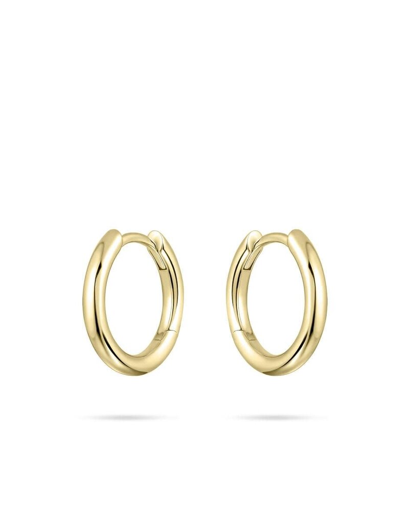 Gisser Hoops - Verguld zilver oorringen - 2 mm - 15 mm