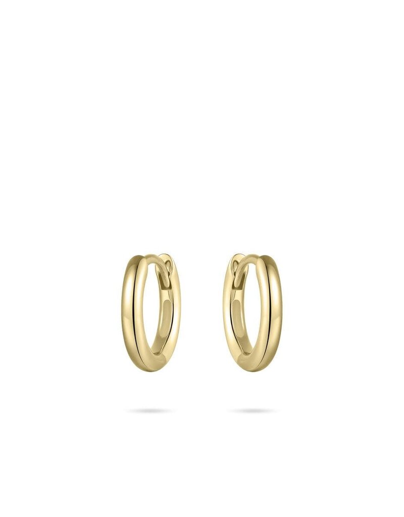 Gisser Hoops - Verguld zilver oorringen - 2 mm - 12 mm