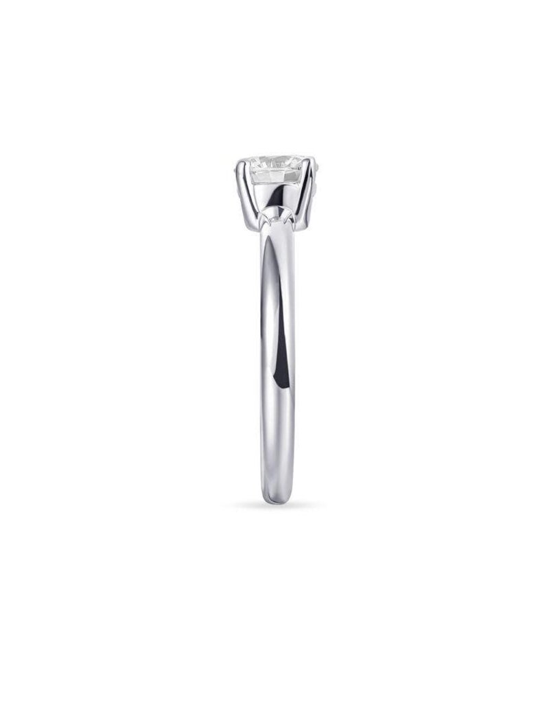 Gisser Zilveren ring - Gerhodineerd - Zirkonia - Maat 56