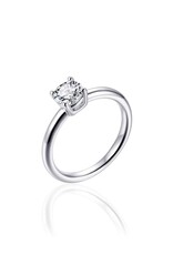 Gisser Zilveren ring - Gerhodineerd - Zirkonia - Maat 56
