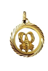 Occasions by Marleen Occasions by Marleen - 14 karaats - Gouden sterrenbeeld - Bewerkte rand - Kreeft