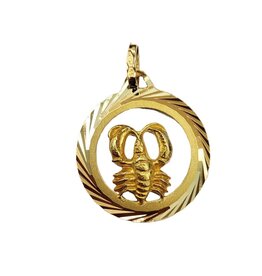 Occasions by Marleen Occasions by Marleen - 14 karaats - Gouden sterrenbeeld - Bewerkte rand - Kreeft