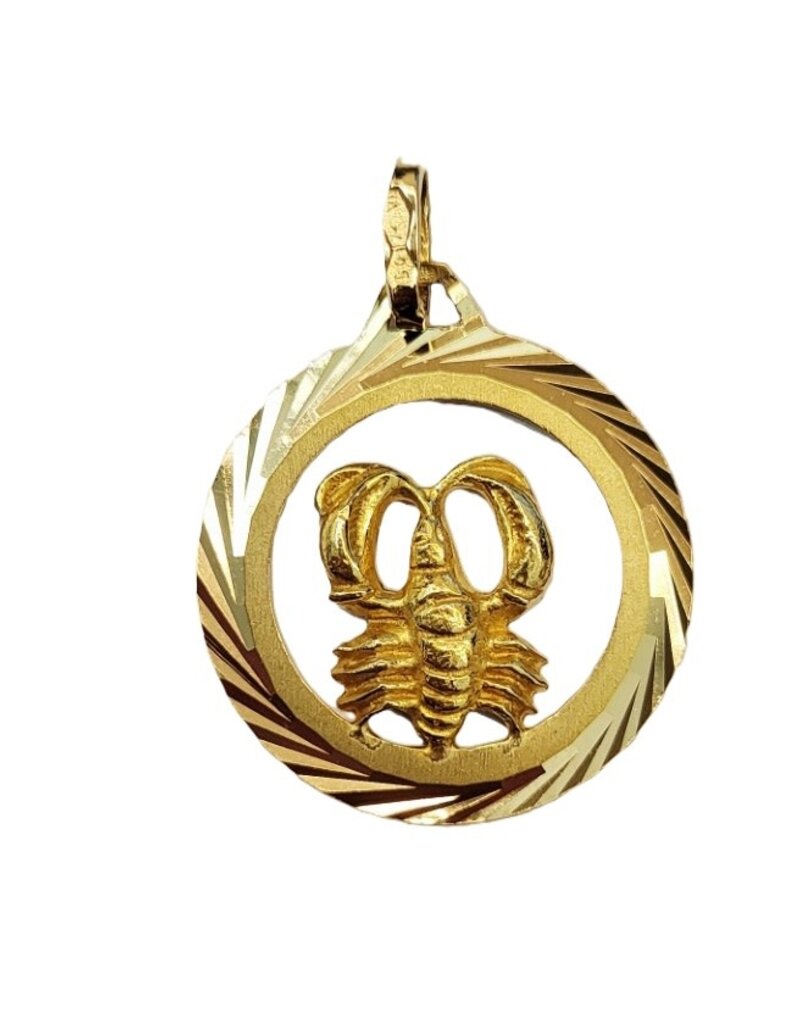 Occasions by Marleen Occasions by Marleen - 14 karaats - Gouden sterrenbeeld - Bewerkte rand - Kreeft
